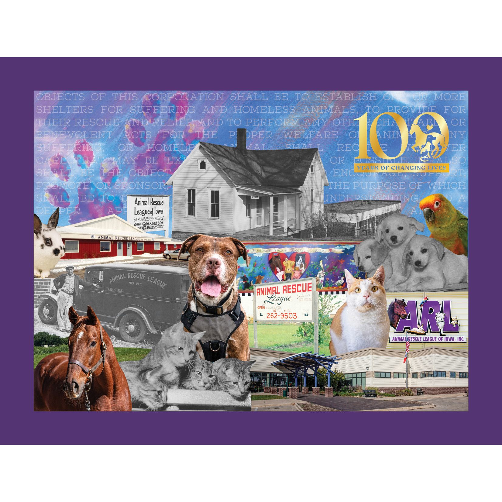 ARL 100-year Puzzle