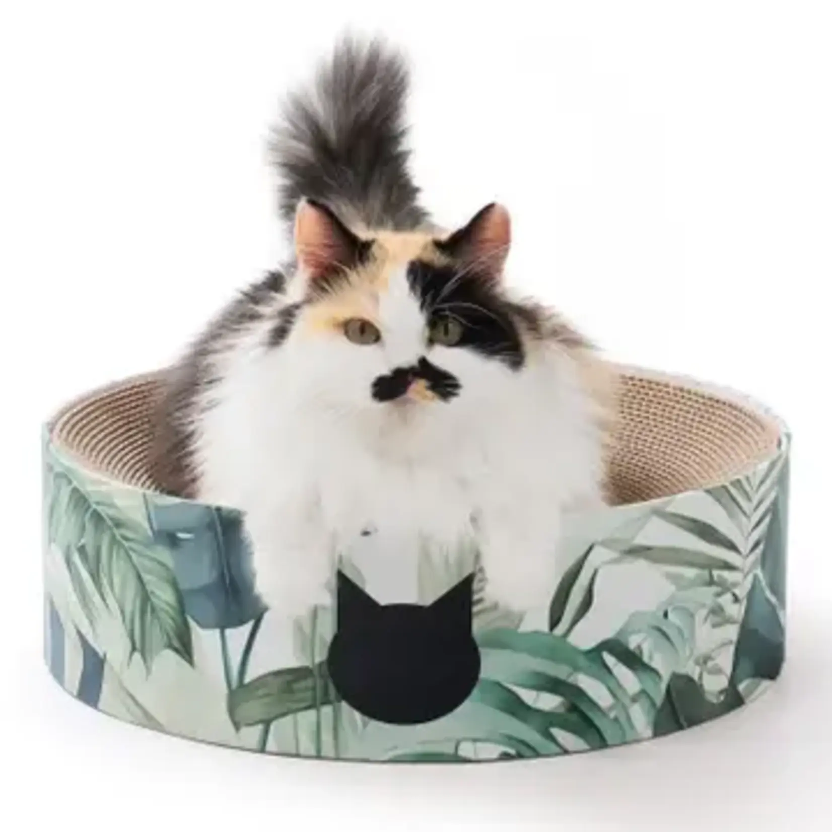 Necoichi Necoichi Cozy Cat Scratcher Bowl Green