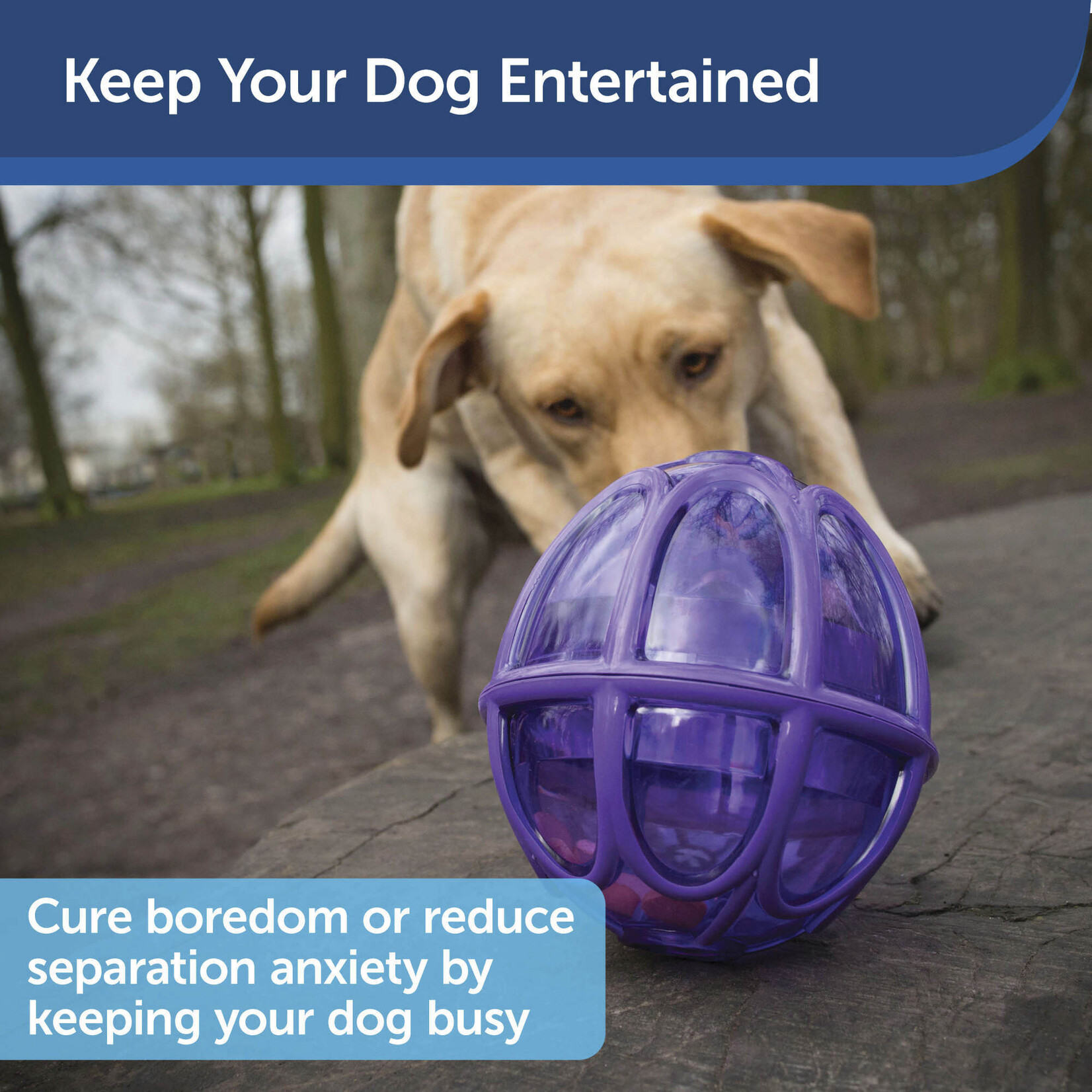 PetSafe Busy Buddy Kibble Nibble toy
