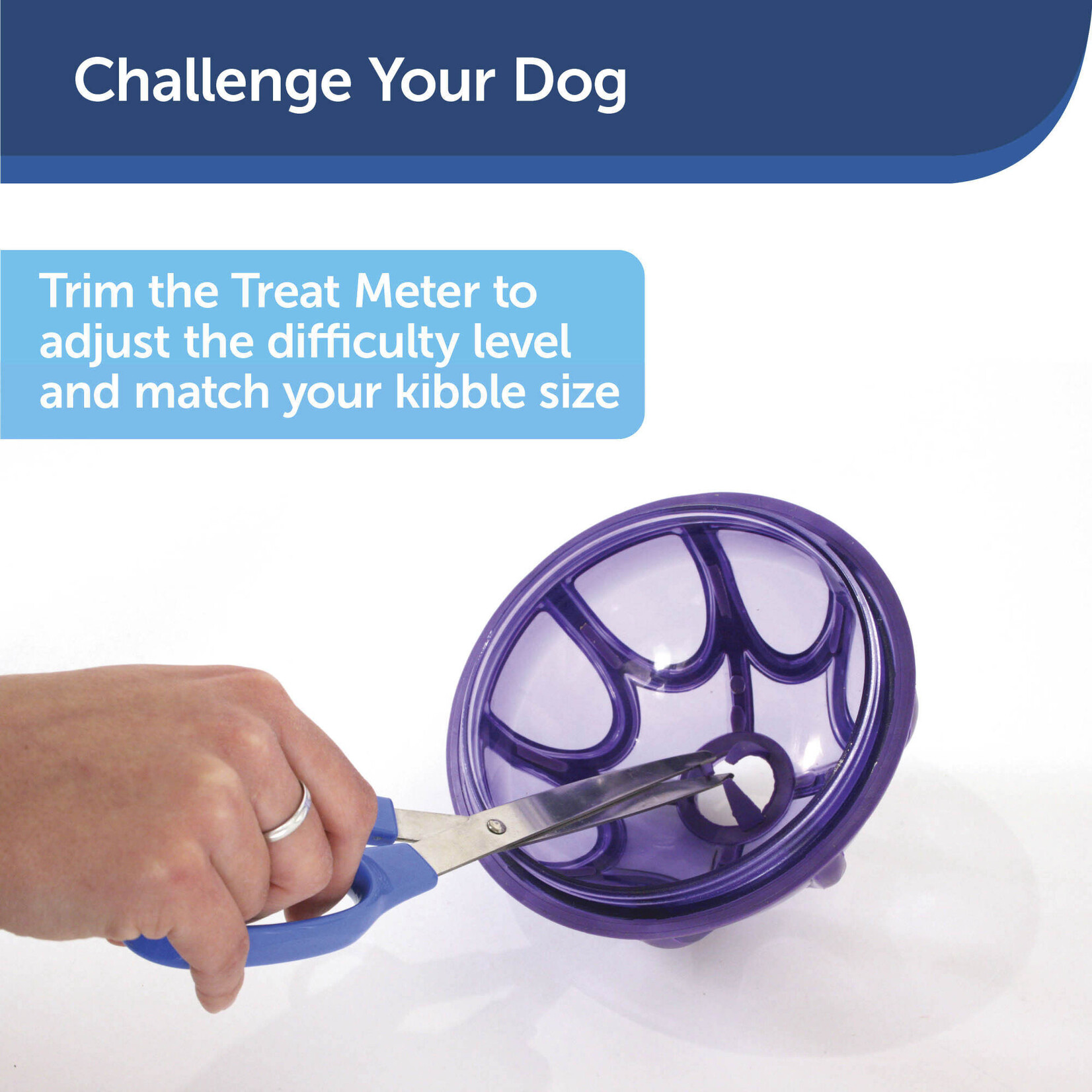 PetSafe Busy Buddy Kibble Nibble toy