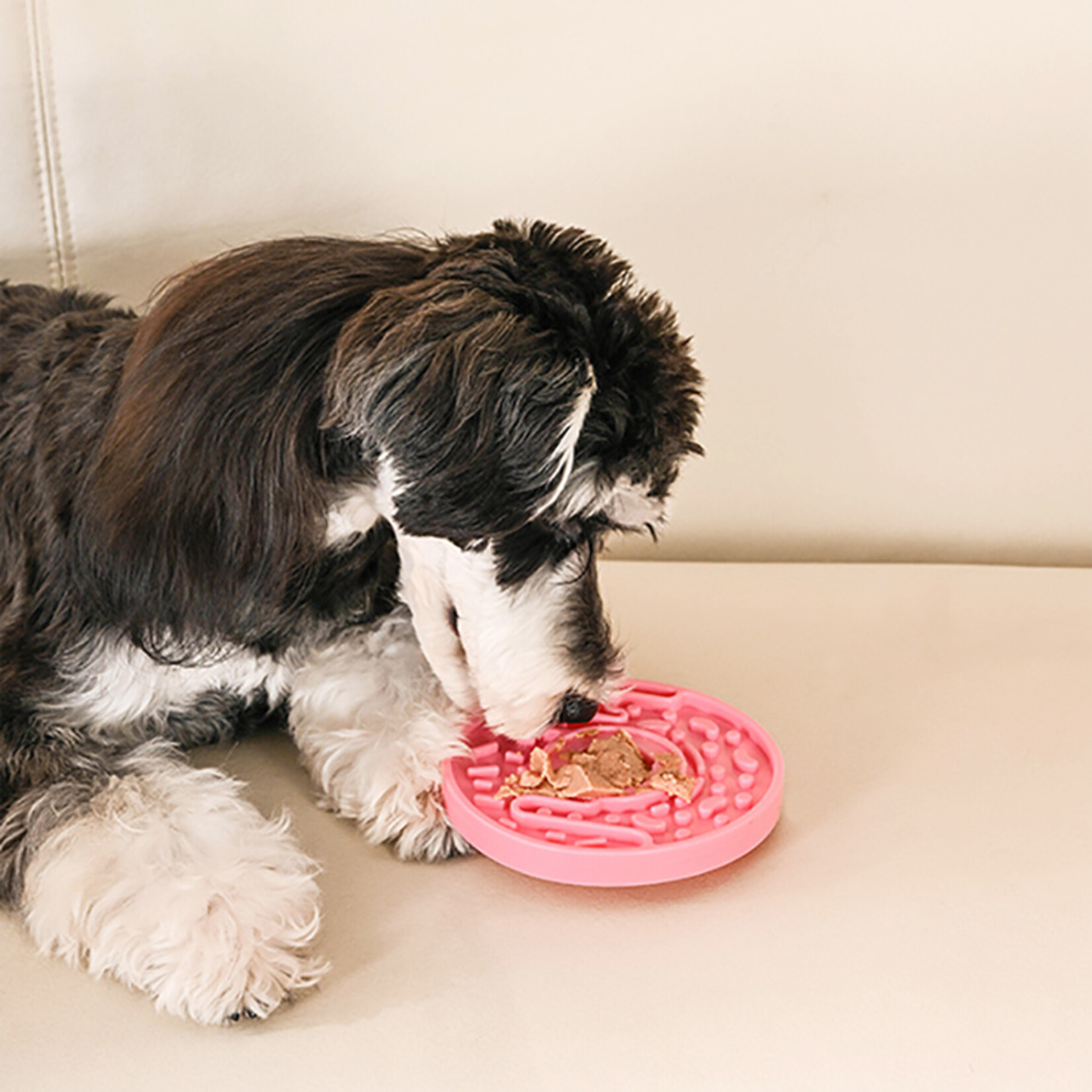 HugSmart Pet Dog Bowl Pet lick mat