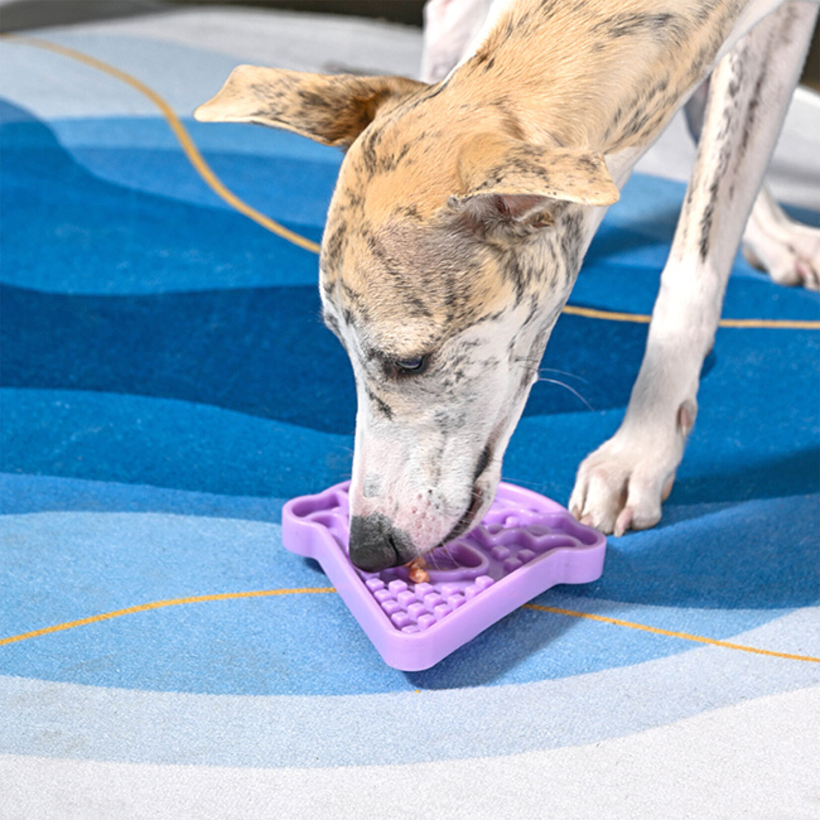 HugSmart Pet Dog Bowl Pet lick mat