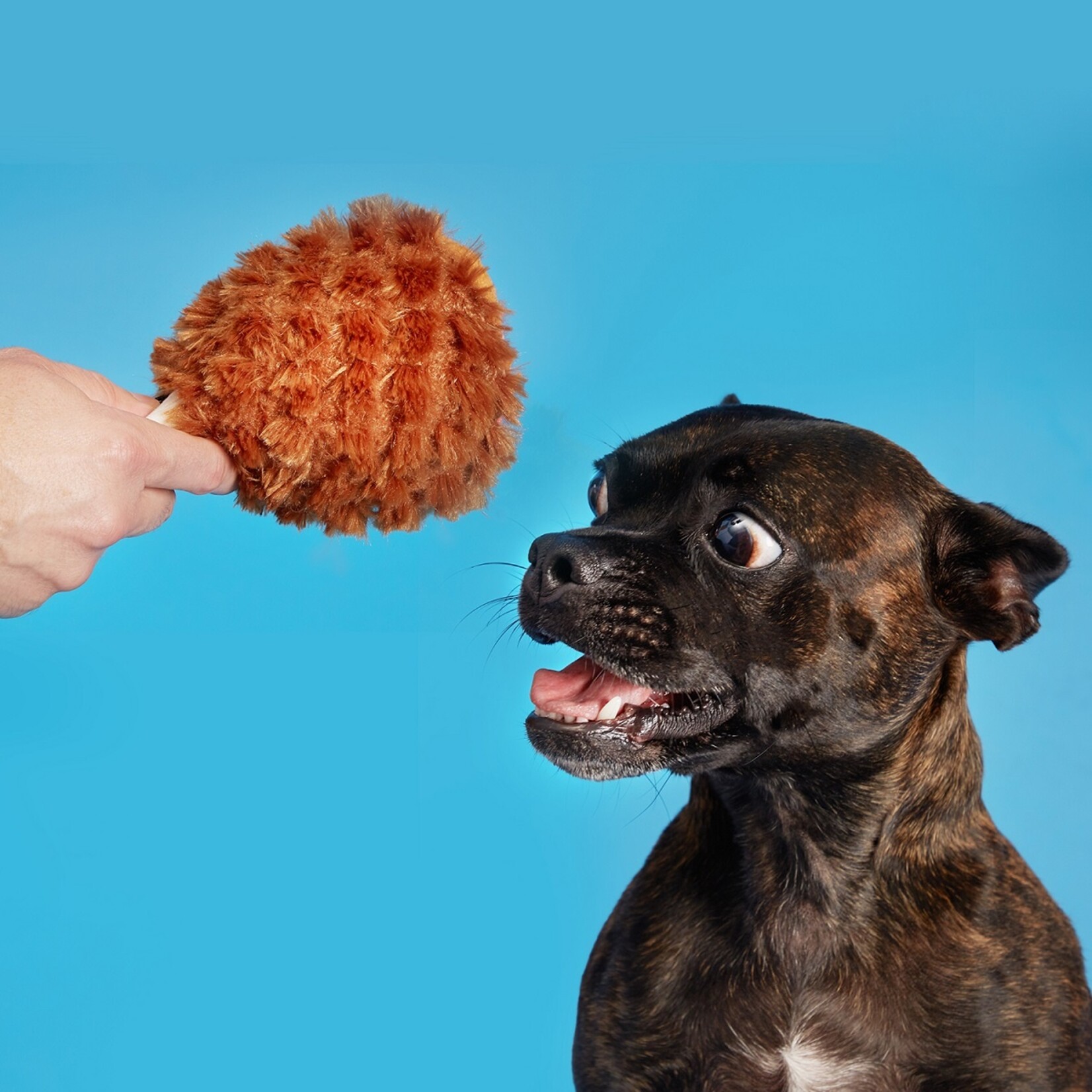 Bark Co BARK Tavern Turkey Leg