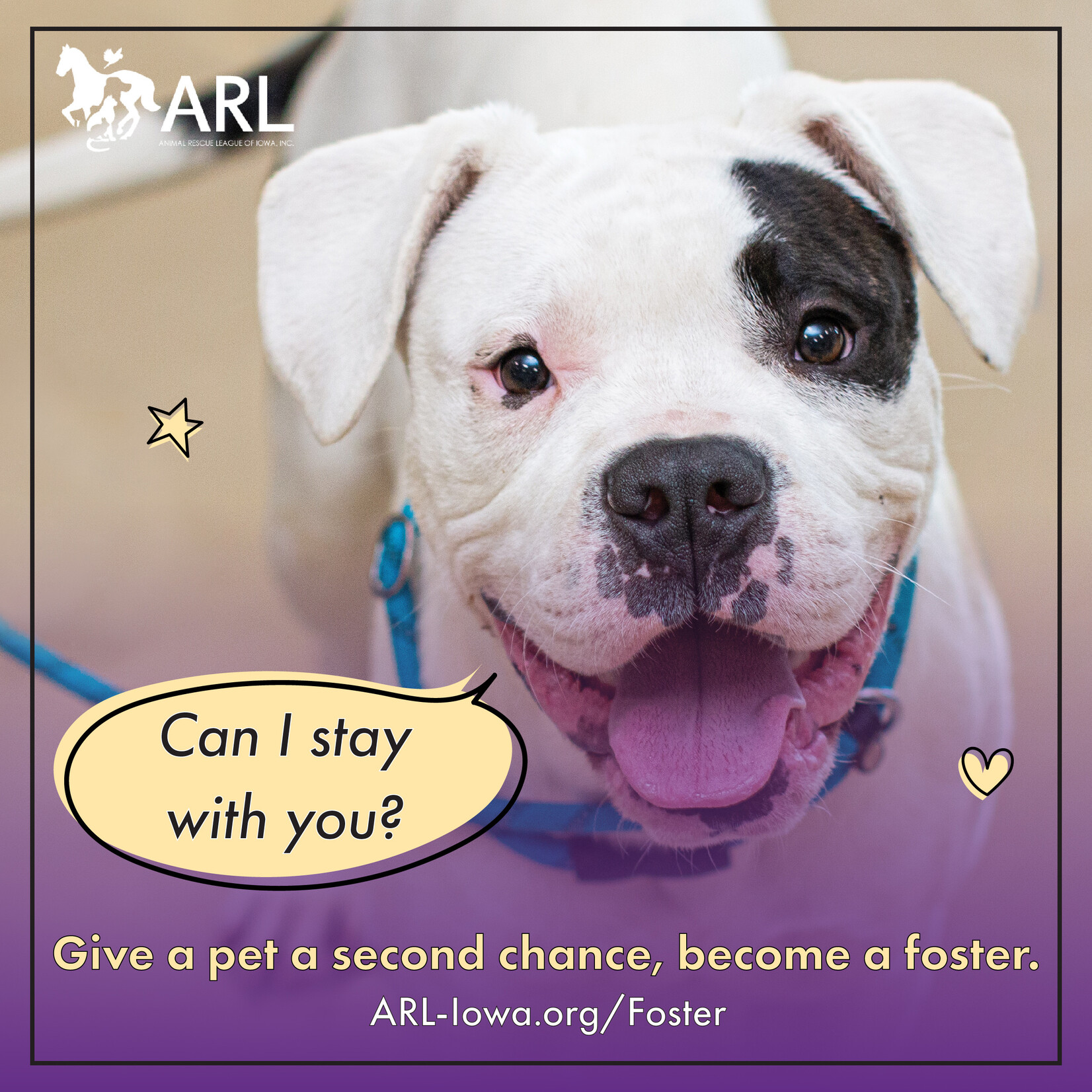 ARL Adoption- Foster Event