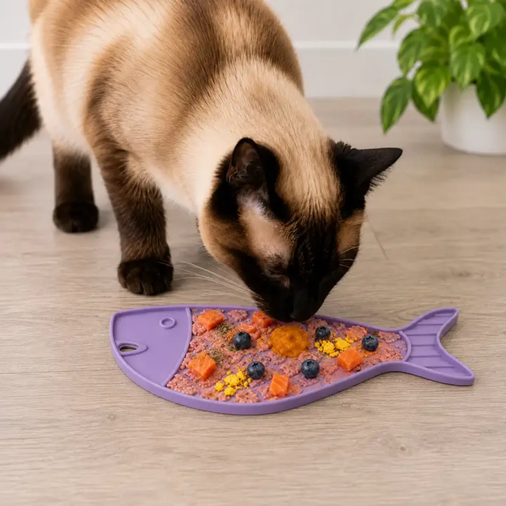 SodaPup Sodapup Goldfish lickmat