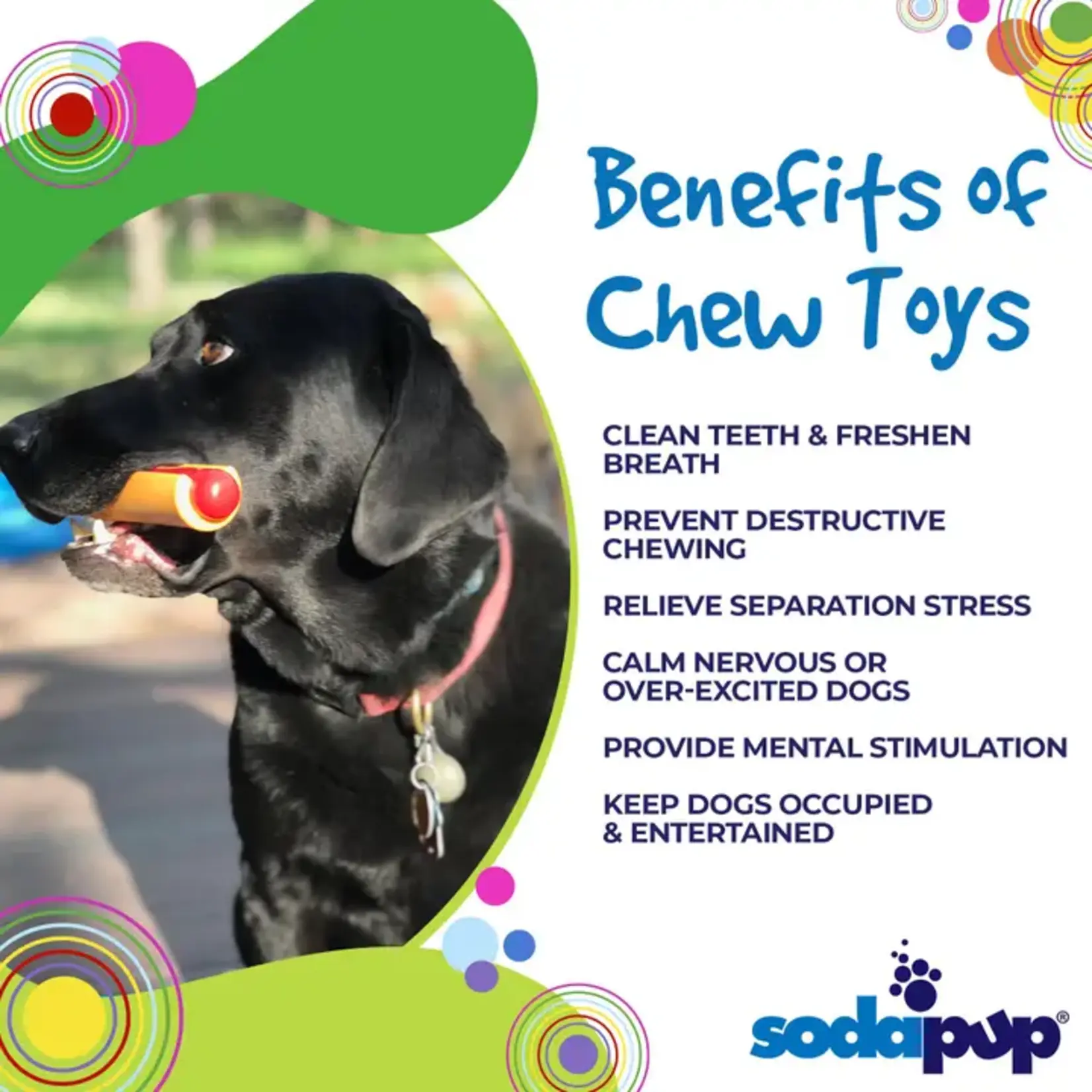 SodaPup Sodapup Hot Dog chew toy