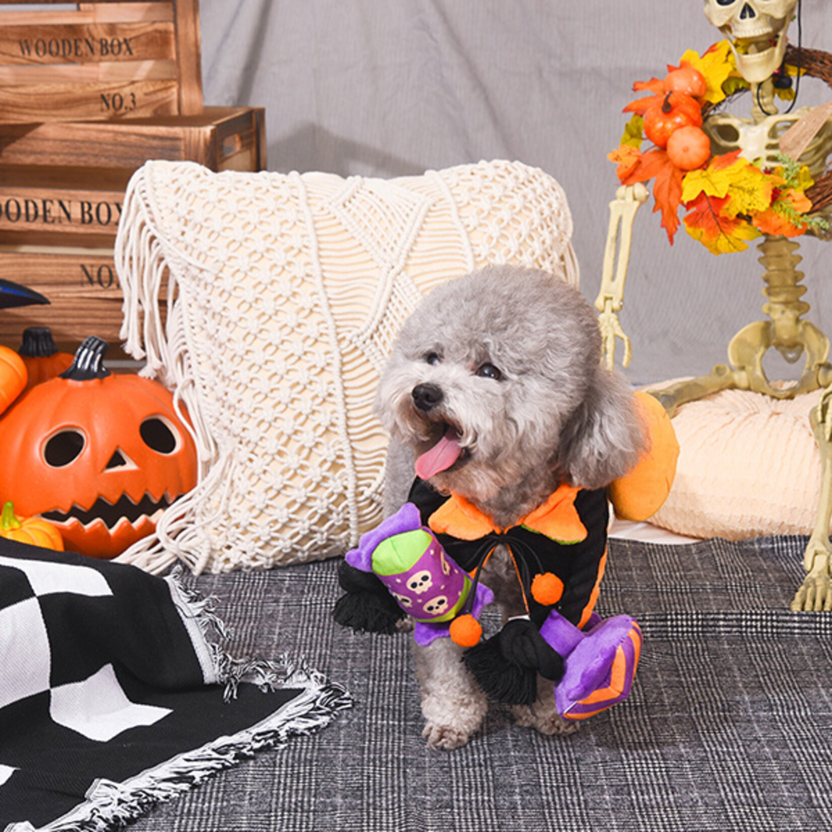 HugSmart Pet Howloween Night- Howloween Candy rope toy
