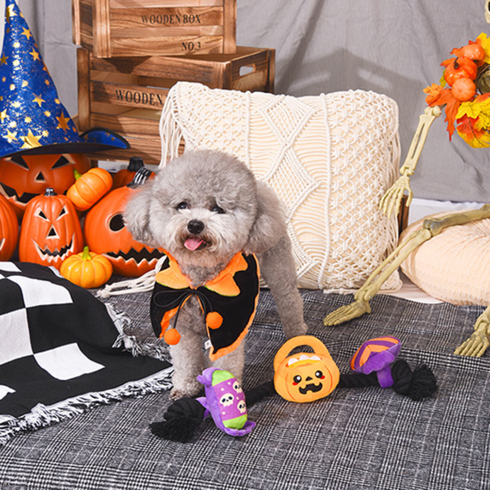 HugSmart Pet Howloween Night- Howloween Candy rope toy