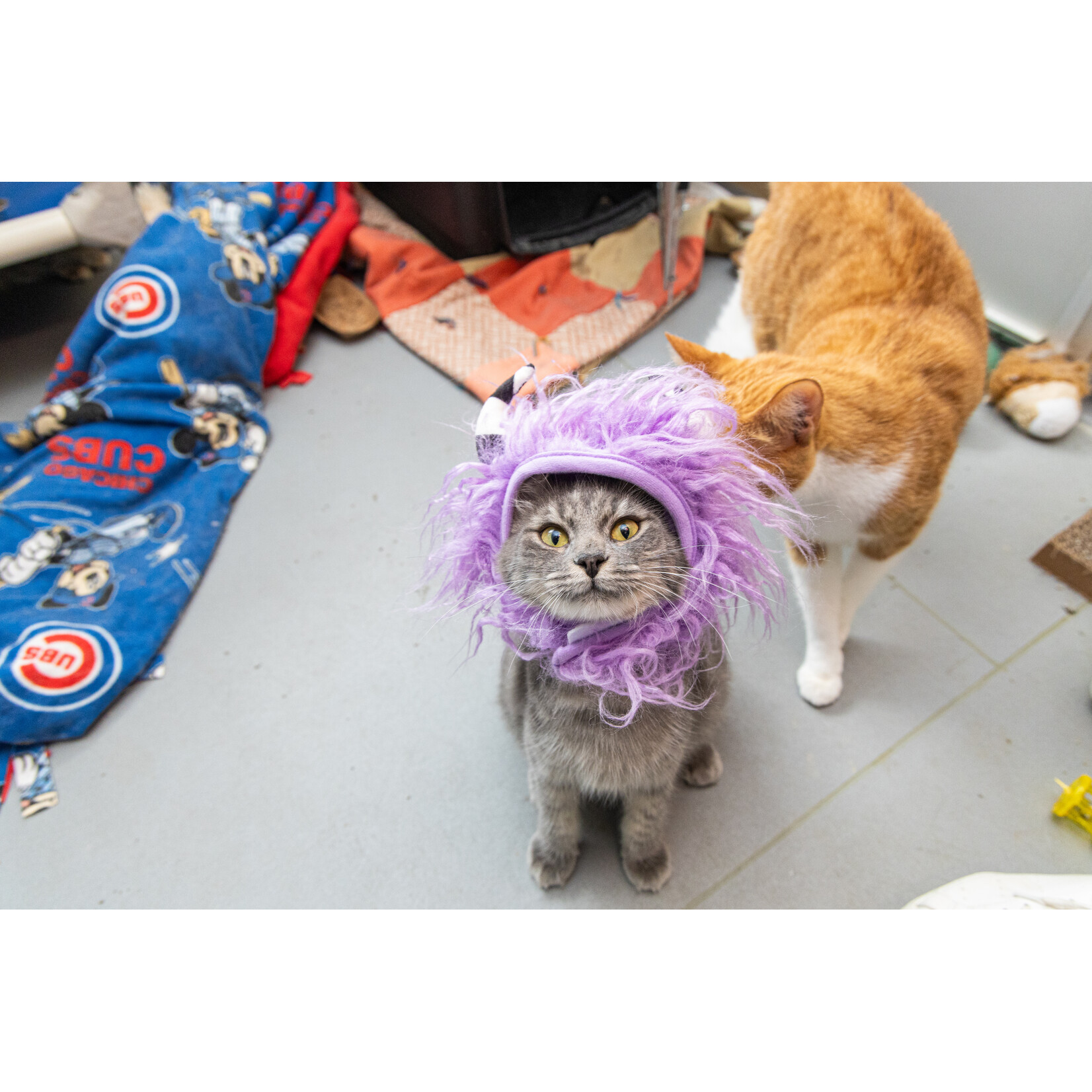 Bootique Monster cat costume