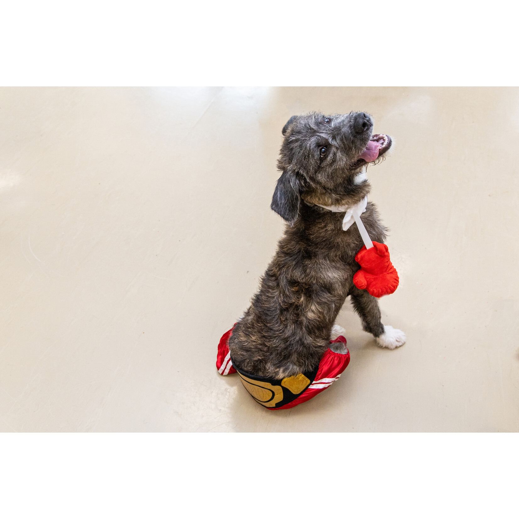 Bootique Boxer costume