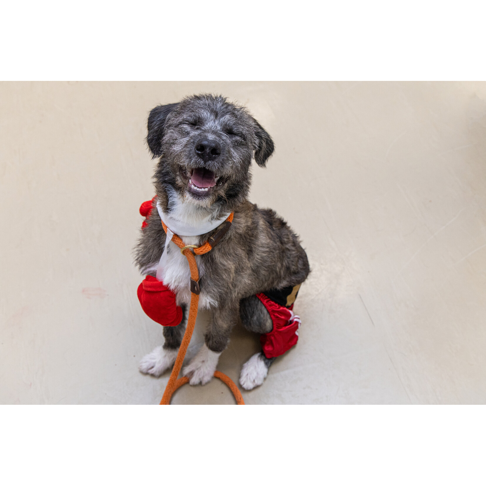 Bootique Boxer costume