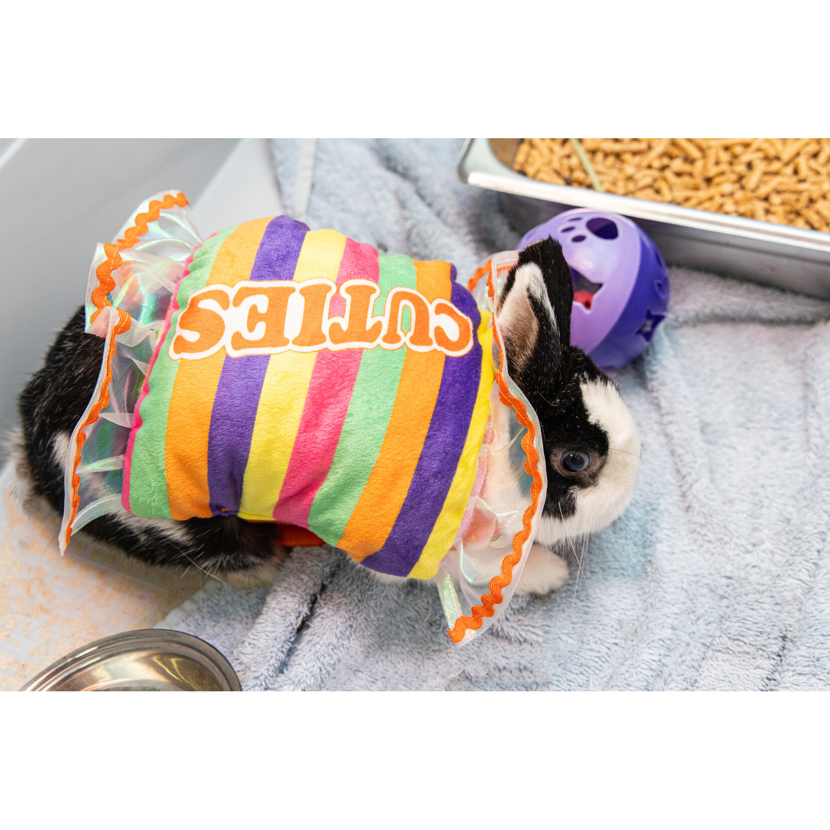 Thrills & Chills Cuties Candy Costume- Small Animal