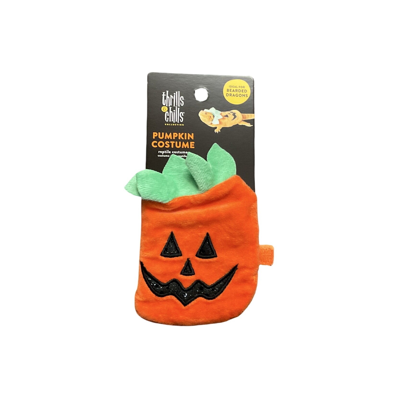 Thrills & Chills Pumpkin Costume- Small Animal