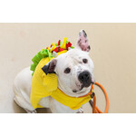 Taco Costume L