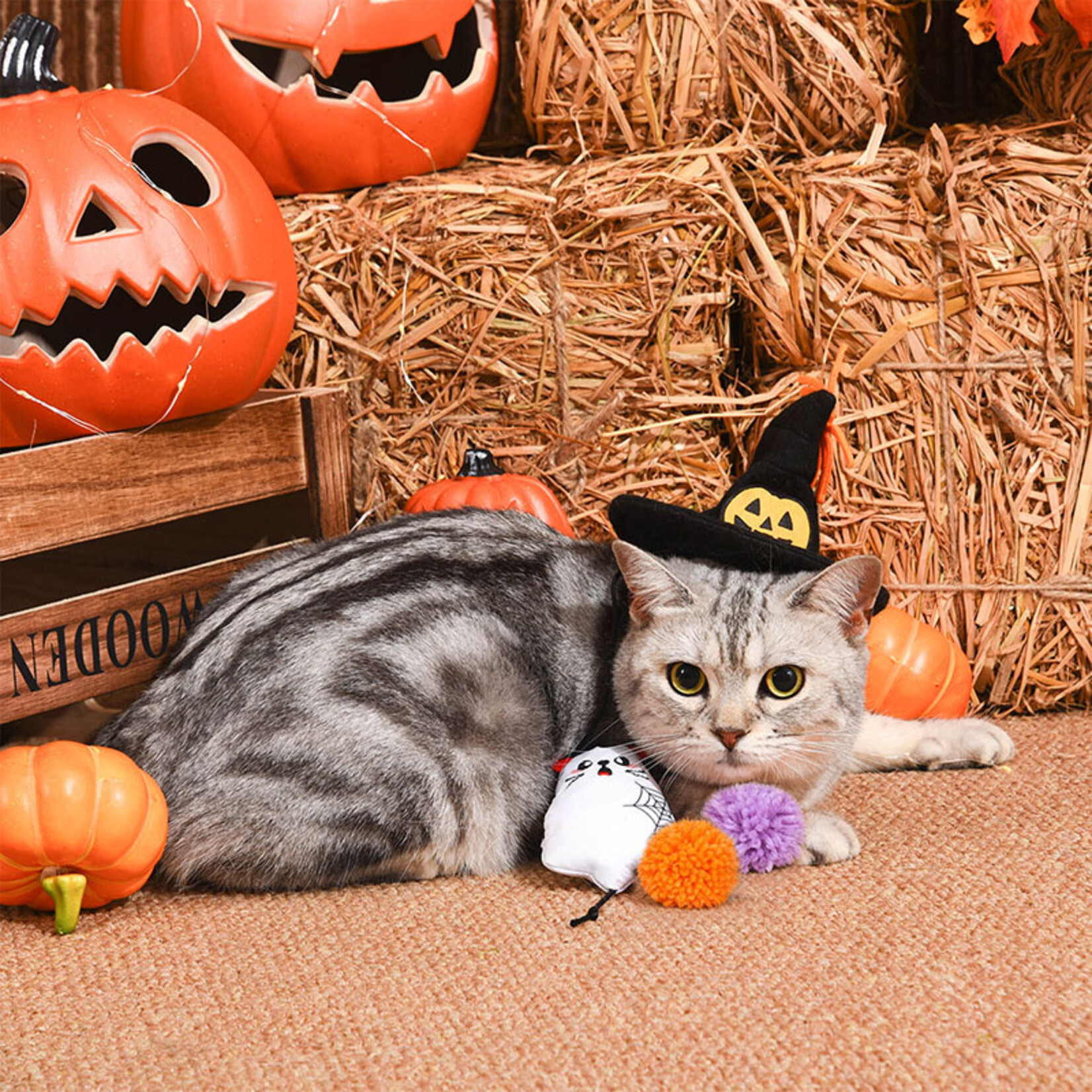 HugSmart Pet Spooky Ghost kitty