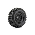Roapex R/C Storm 1/10 Crawler Tires Mounted on Black 1.9" Wheels,