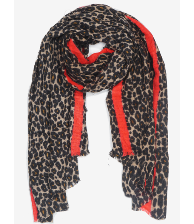 Wild Honey Leopard Print with Red Line Scarf