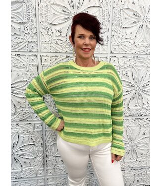 First Love Reg/Curvy Striped Crochet Long Sleeve Light Knit Sweater