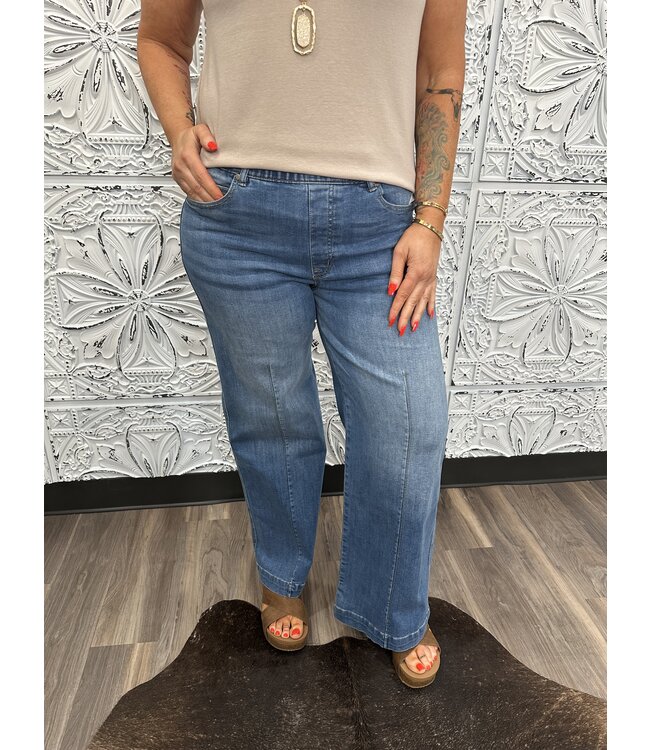 Reg/Curvy Sandblasted Stretch Waist Denim Pants