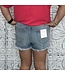 High Rise Destroy Fray Shorts ( 3.5" inseam)