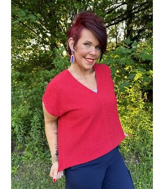 JODIFL Reg/Curvy Textured Top with V-neck and Dolman Sleeves