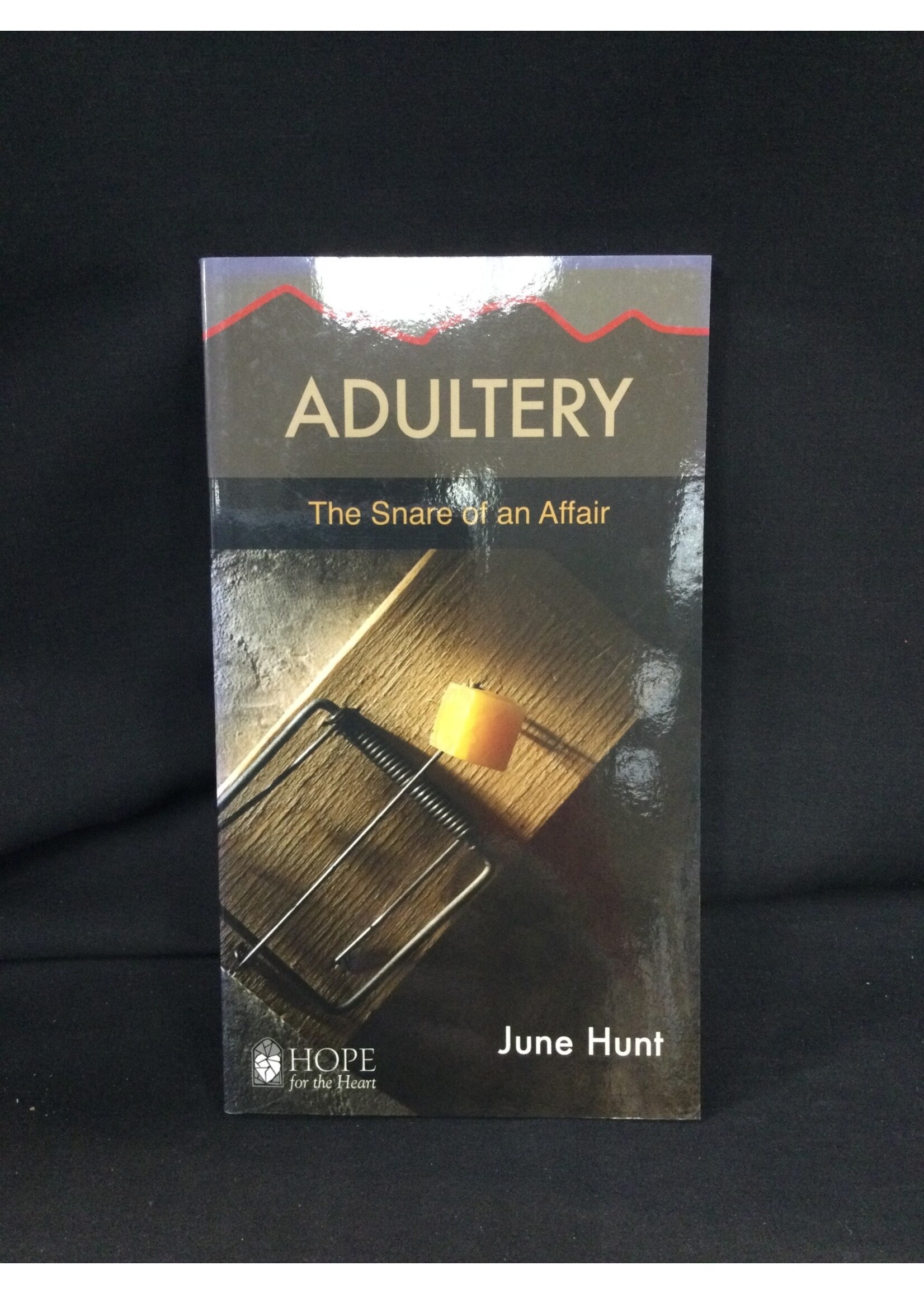 ADULTERY : THE SNARE OF AN AFFAIR
