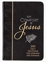 MY COMFORT IS JESUS