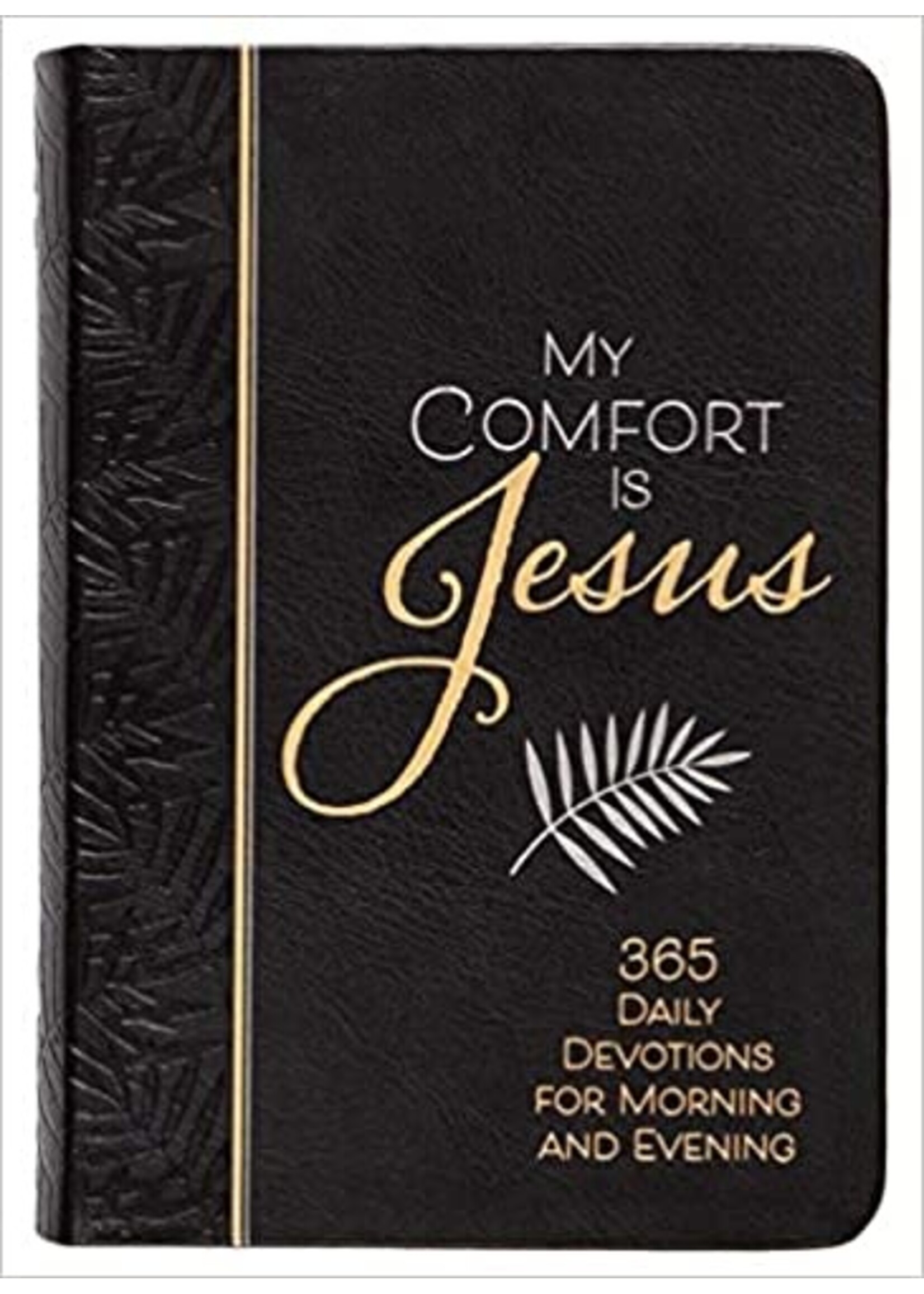 MY COMFORT IS JESUS