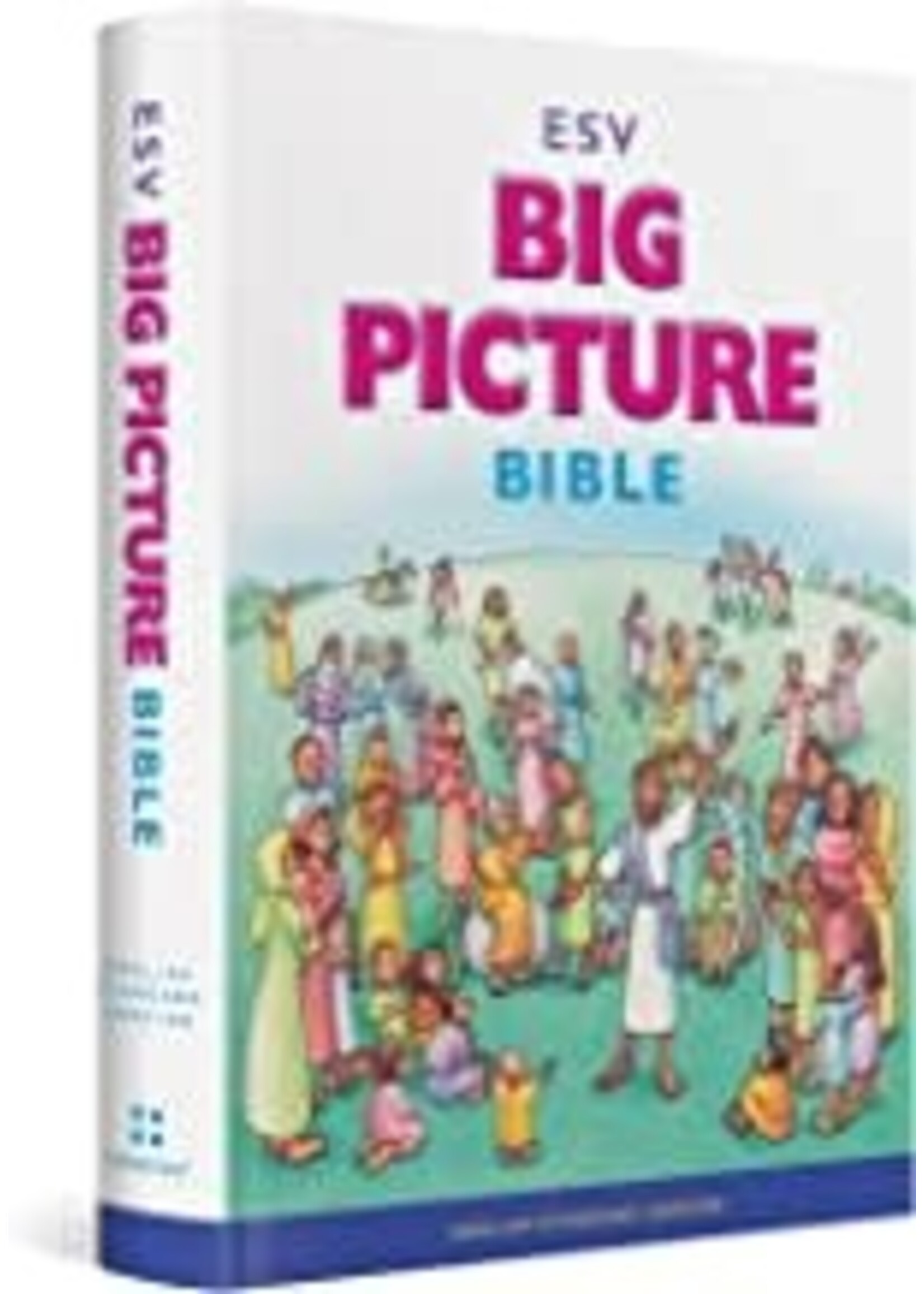 B-ESV BIG PICTURE BIBLE