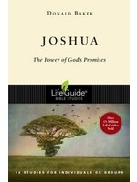 JOSHUA : 12 STUDIES FOR INDIVIDUALS