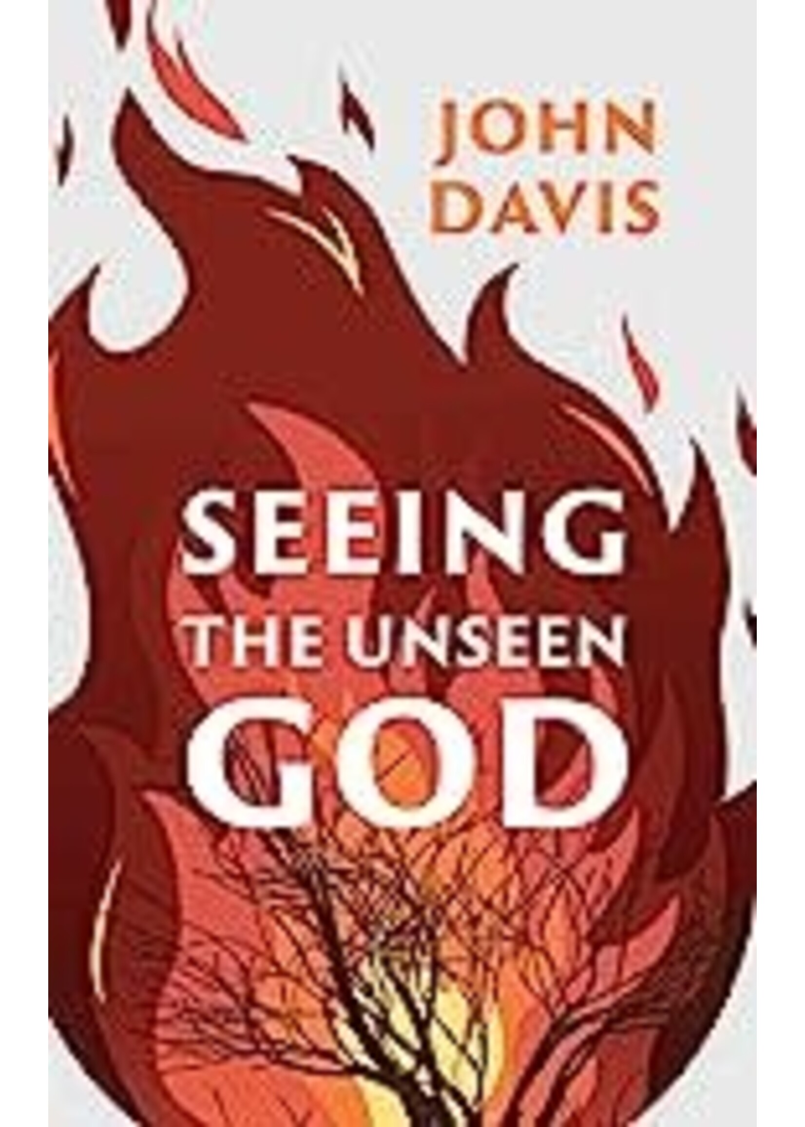 Seeing the Unseen God