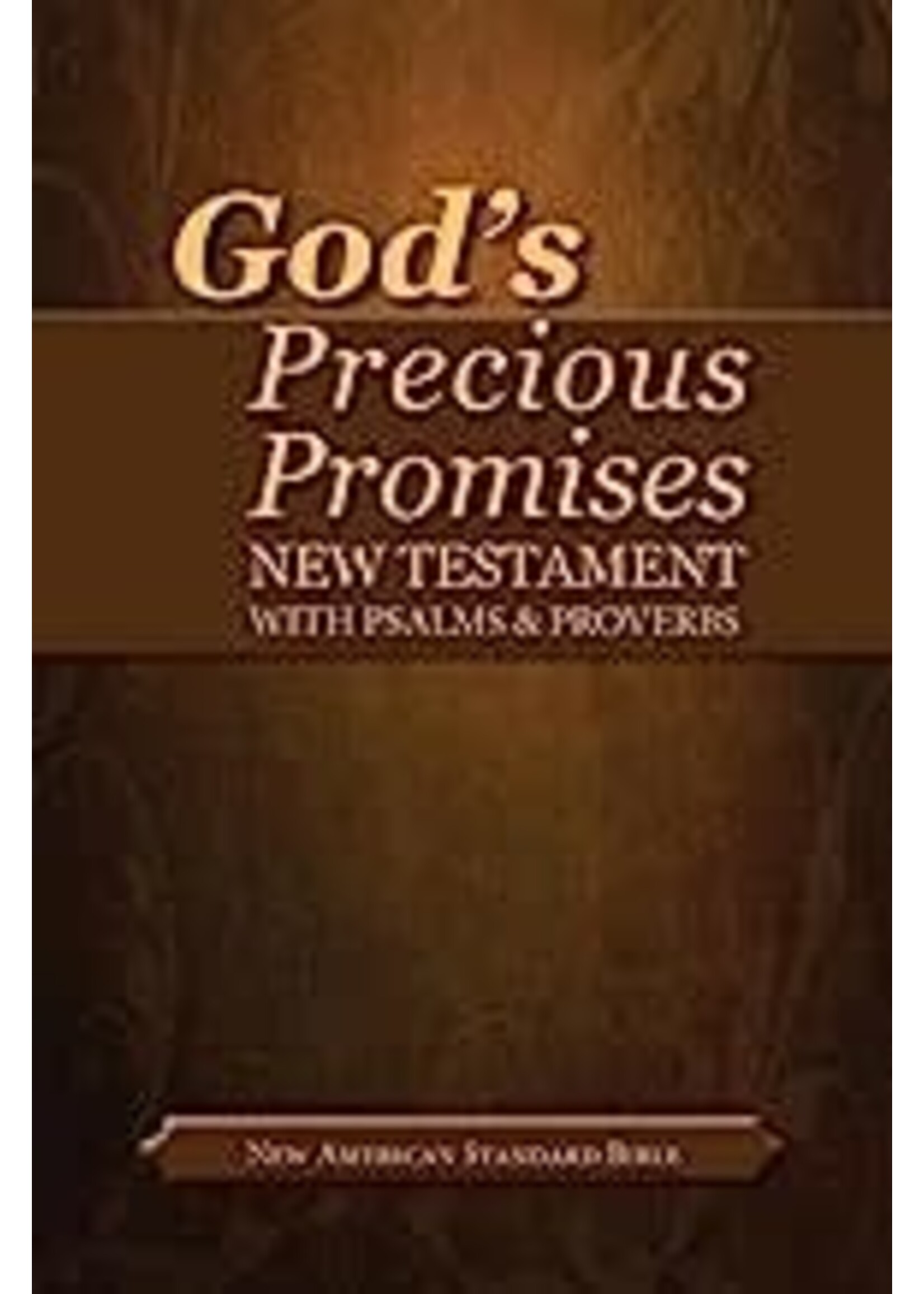 NASB God's Precious Promises New Testament-Softcover