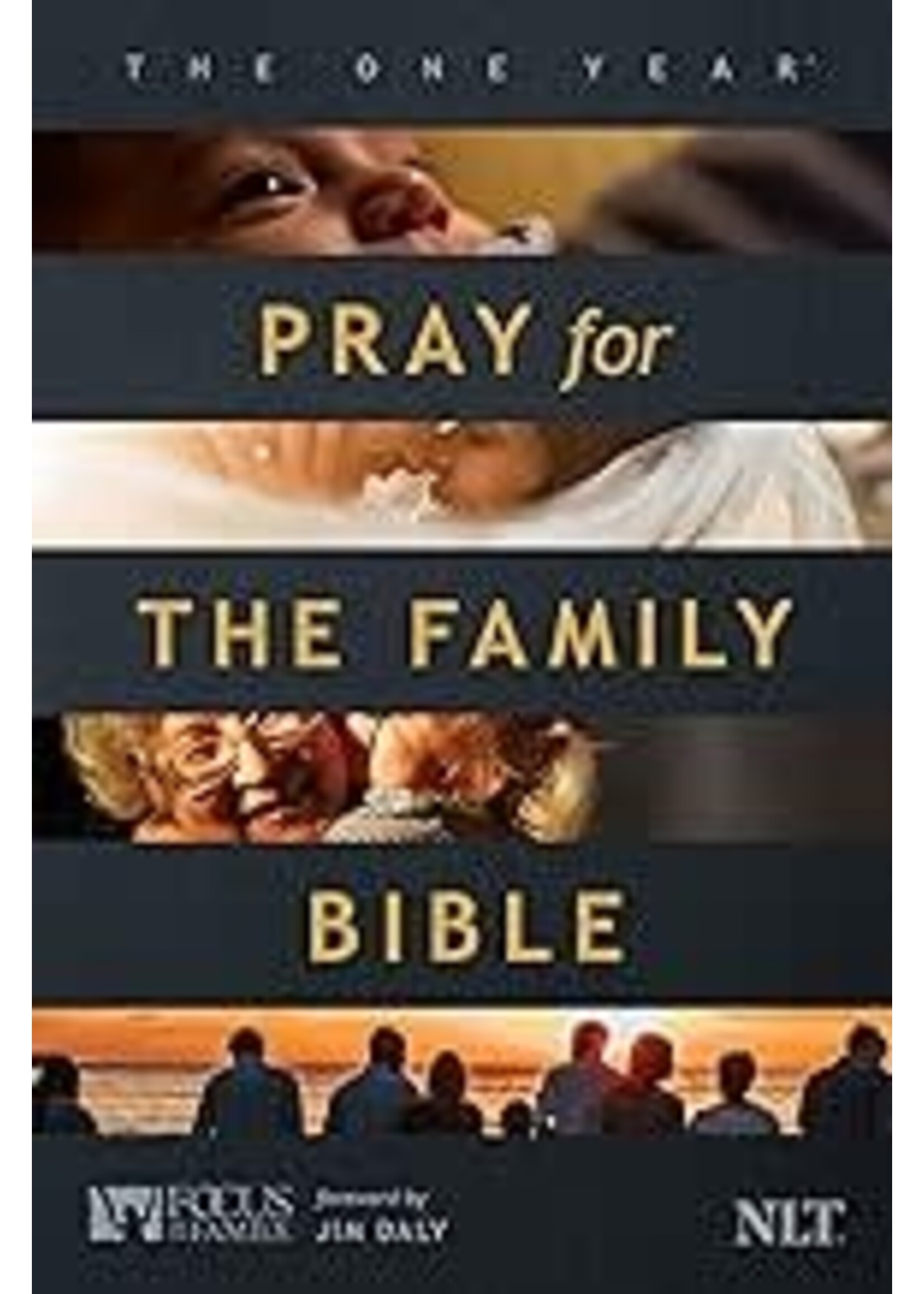 NLT The One Year Pray For The Family Bible-Softcover