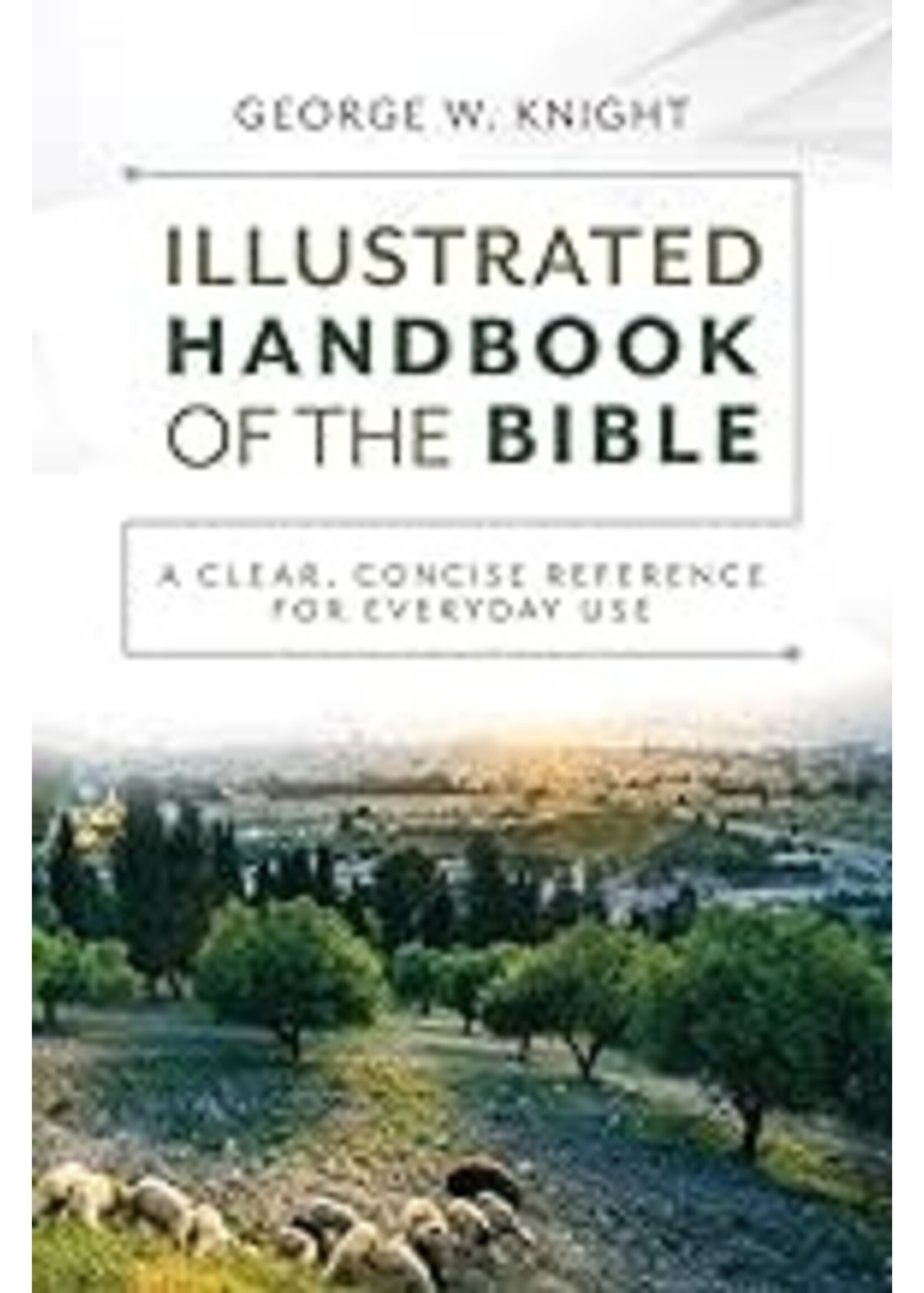 The Illustrated Handbook Of The Bible