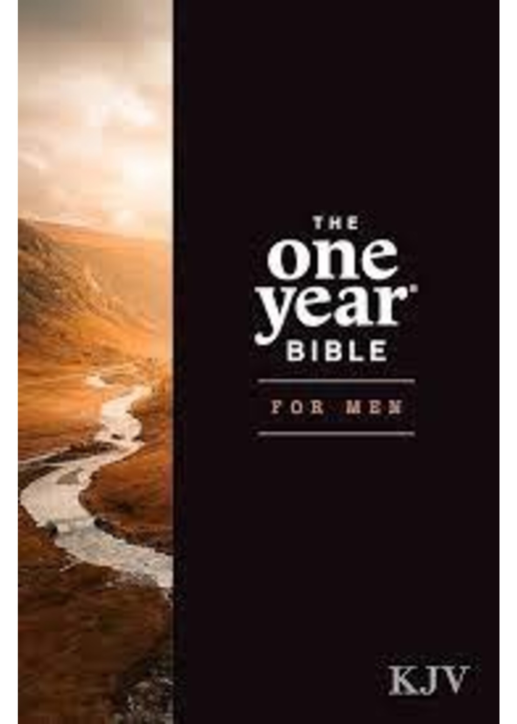KJV The One Year Bible For Men-Hardcover