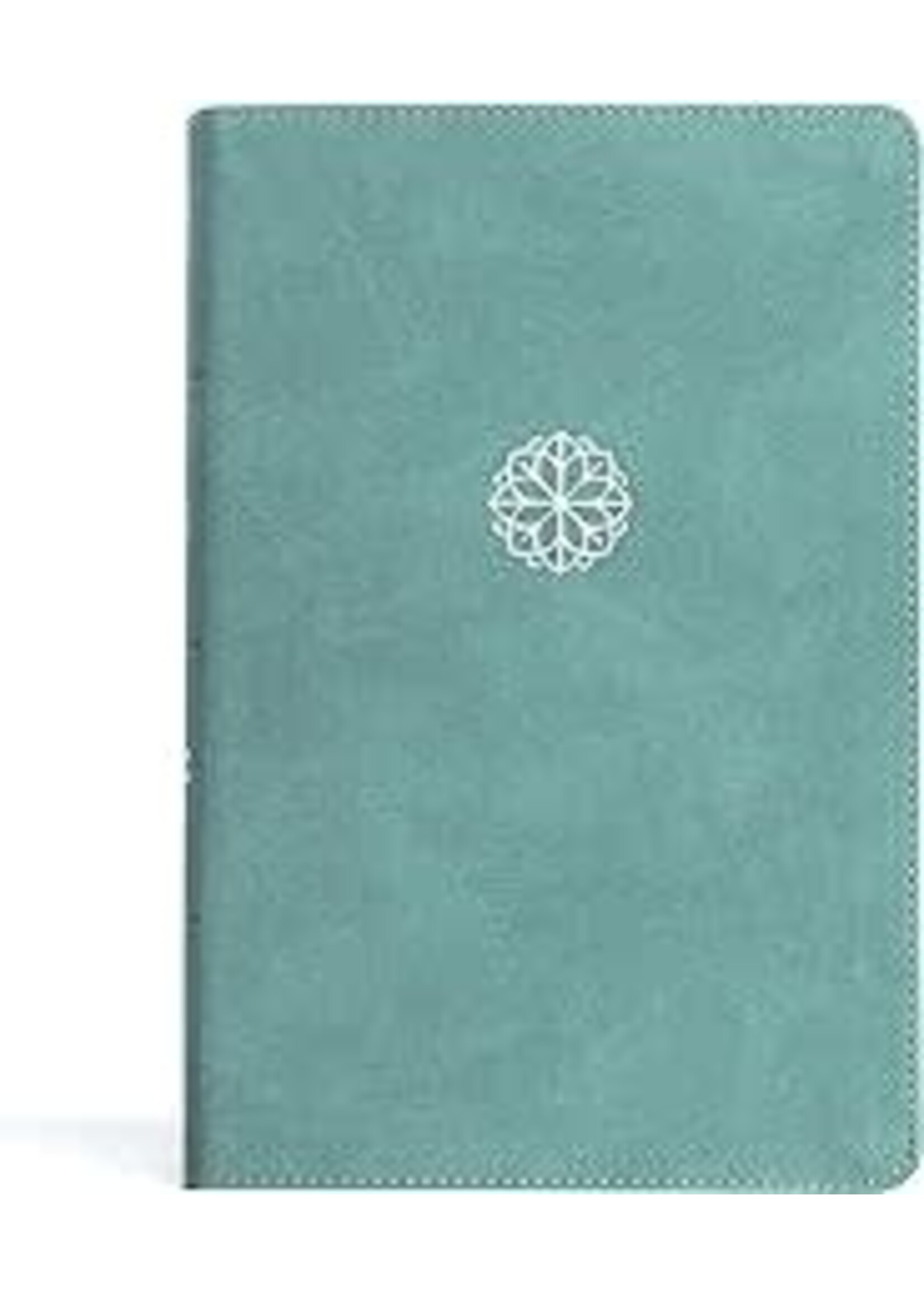 CSB Personal Size Giant Print Bible-Earthen Teal LeatherTouch
