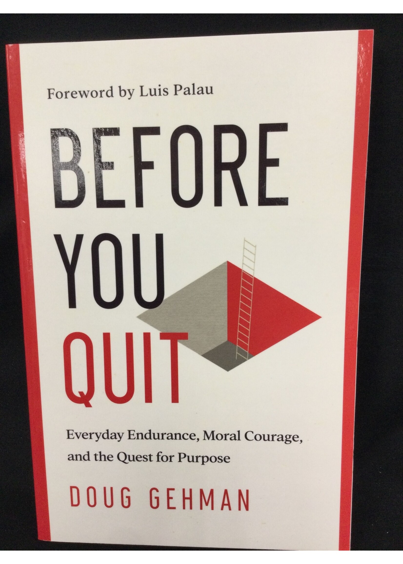 BEFORE YOU QUIT