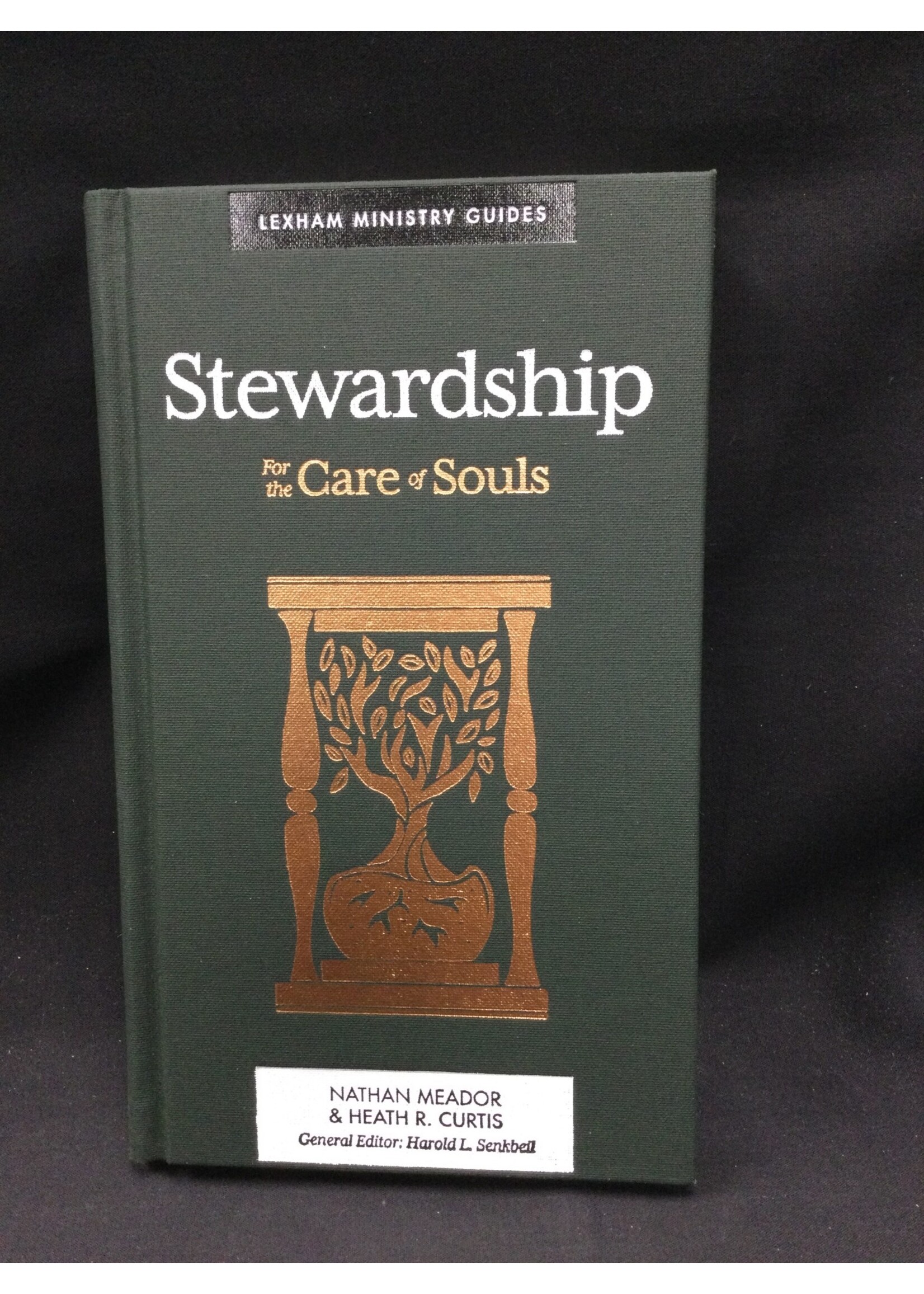 STEWARDSHIP : FOR THE CARE OF SOULS