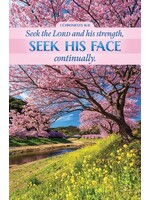 Bulletin: Seek the Lord