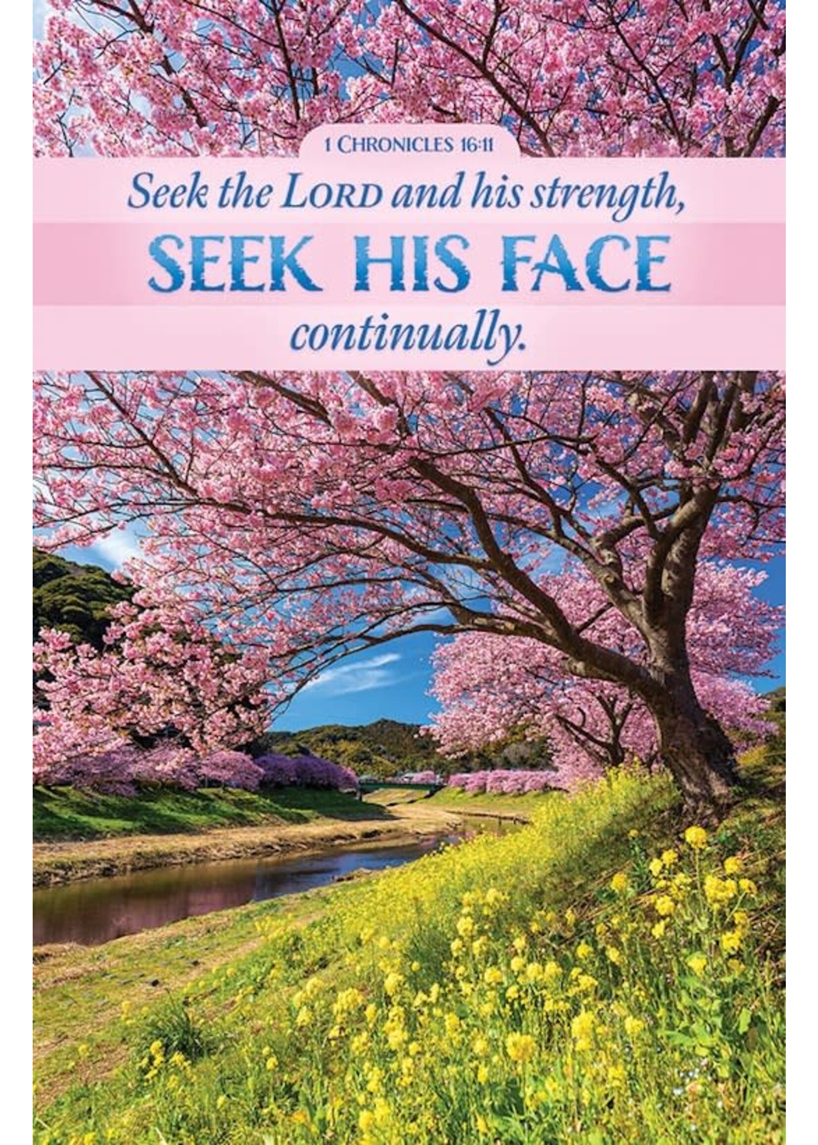 Bulletin: Seek the Lord