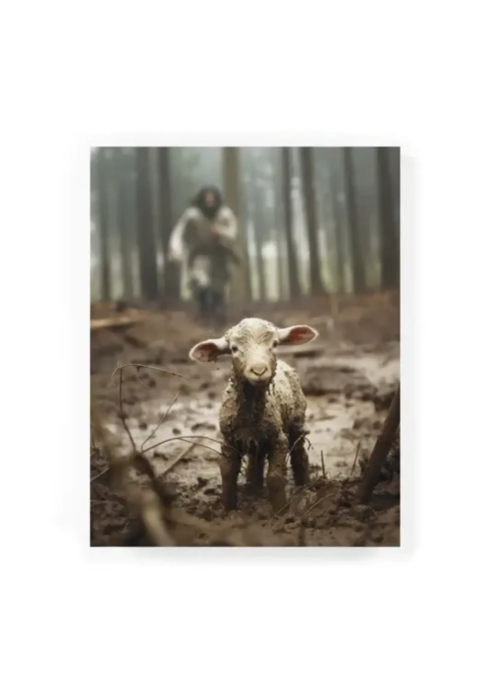 Lamb 5.5x7.25