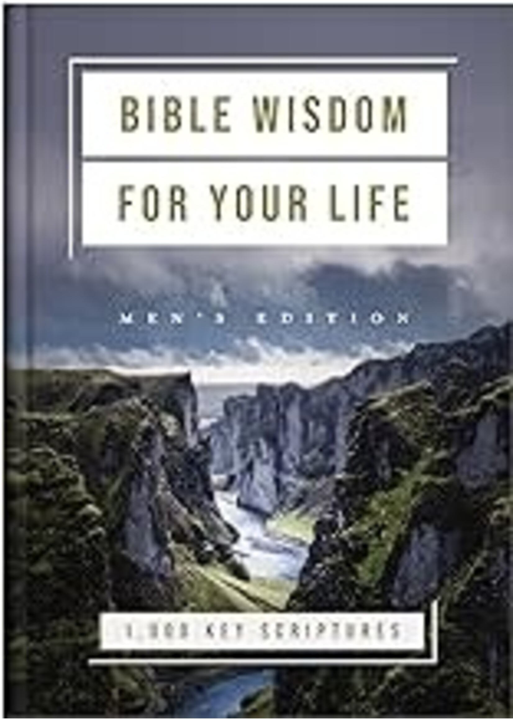 Bible Wisdom for Your Life Men's Edition