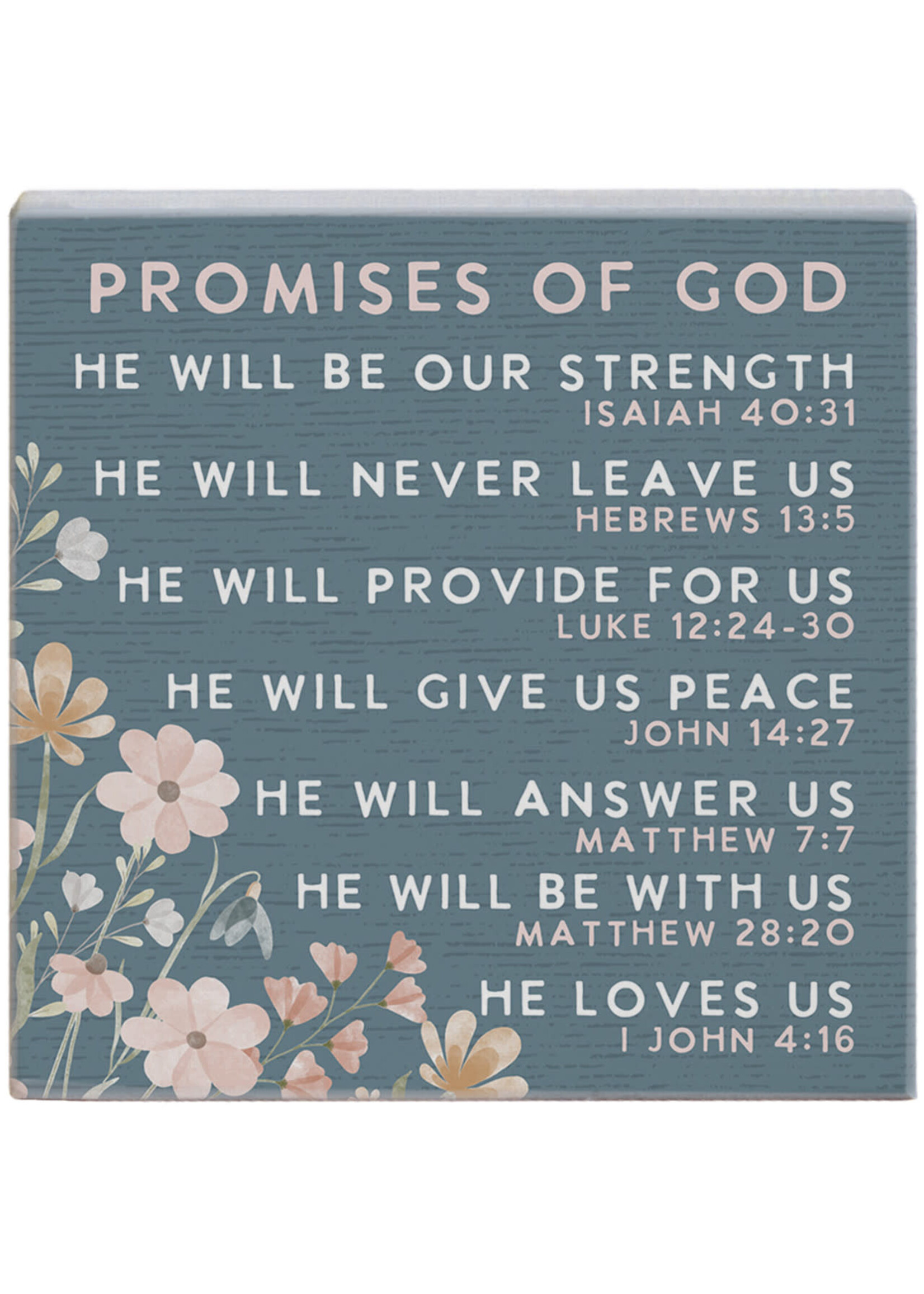 Promises of God Blue