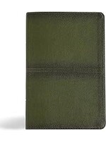 CSB Men's Daily Bible Olive Leathertouch