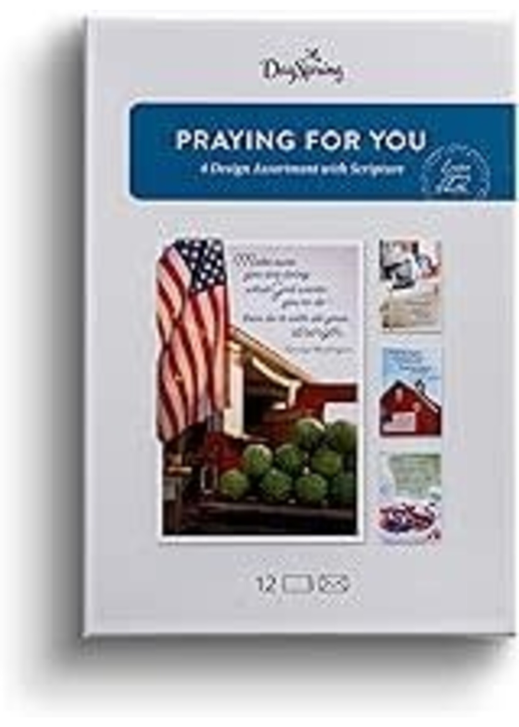 Praying for You Boxed Cards: Patriotic