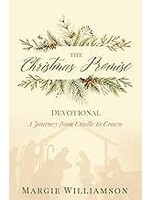 The Christmas Promise