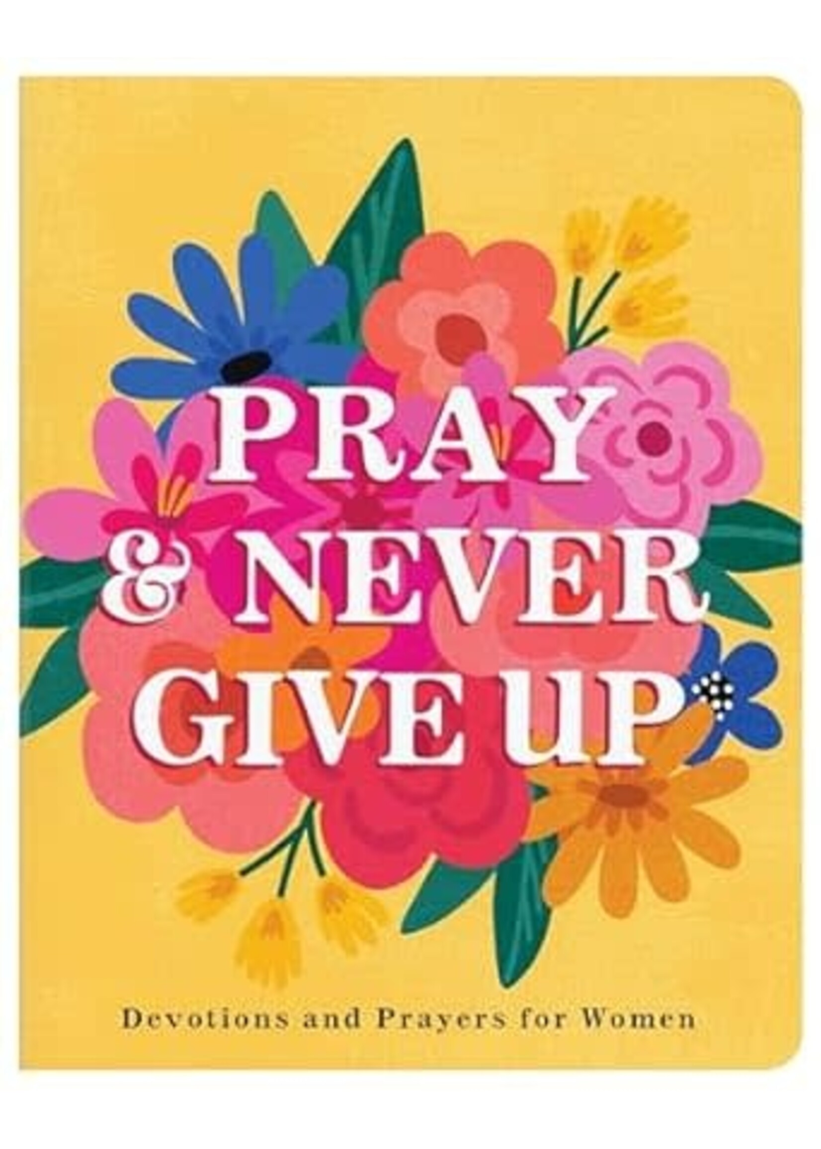 Pray and Never Give Up: Devotions and Prayers for Women