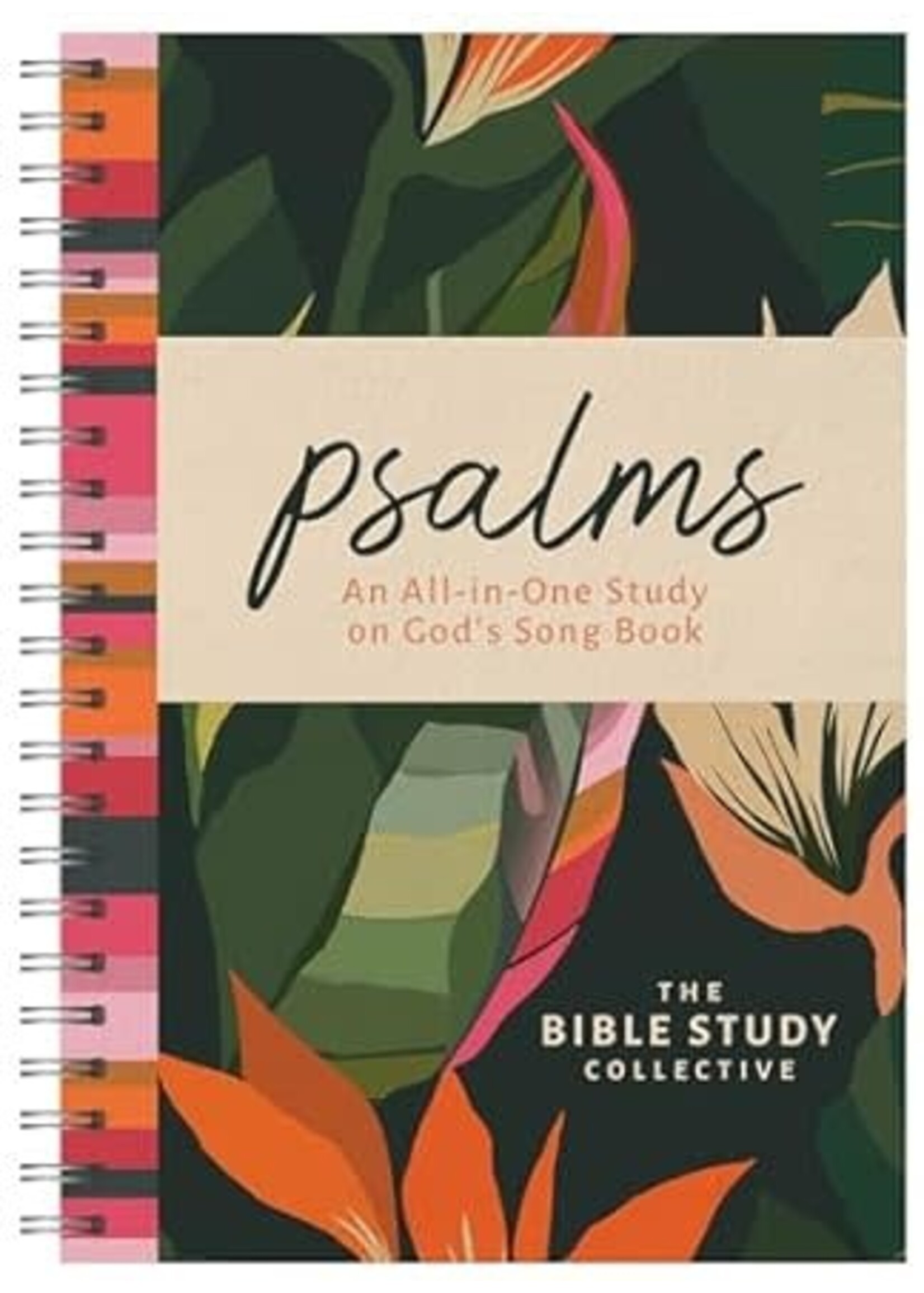 Psalms: An All-In-One Study on God's Song Book