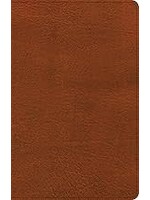 NASB 2020 Large Print Thinline Bible-Burnt Sienna LeatherTouch