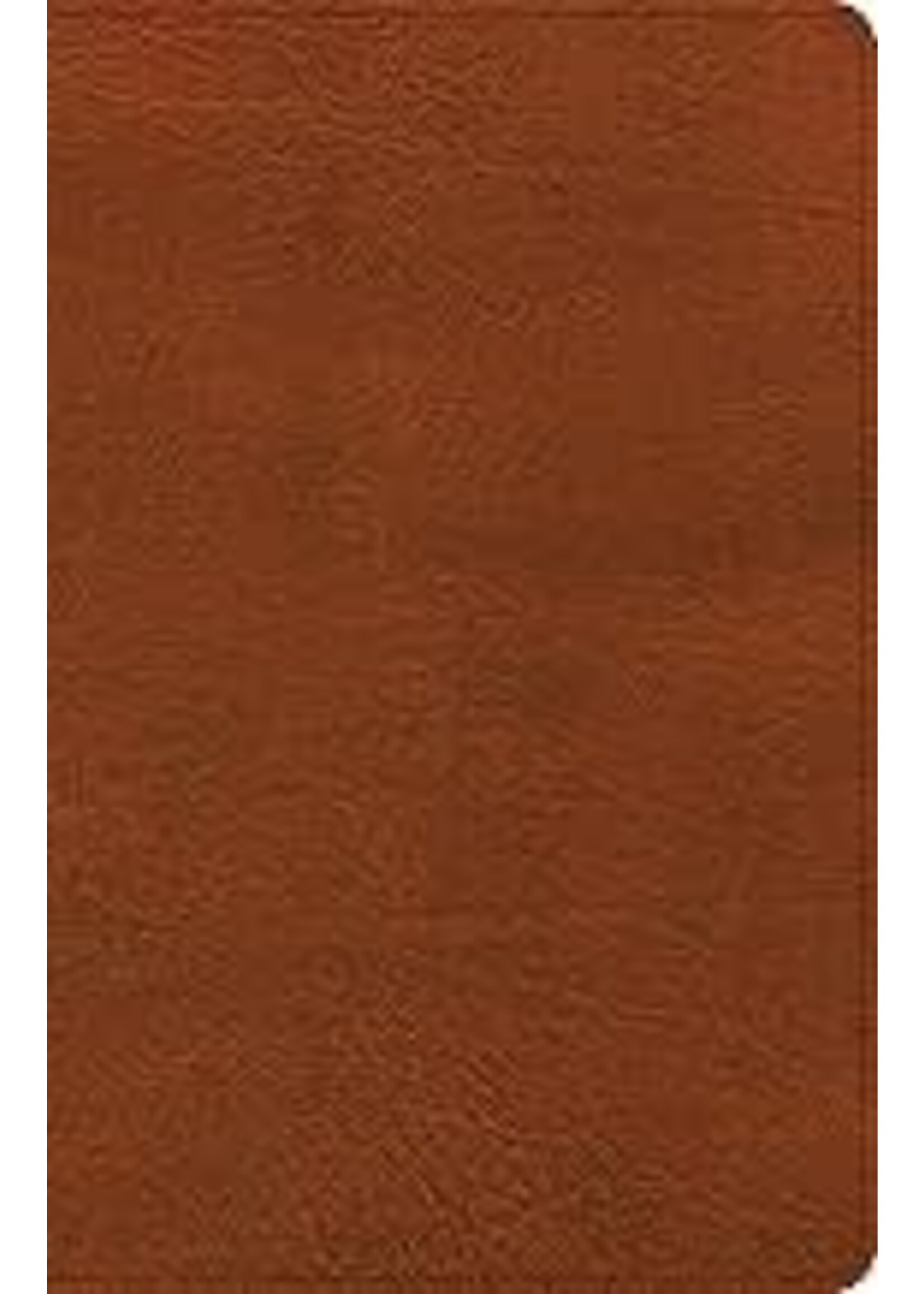 NASB 2020 Large Print Thinline Bible-Burnt Sienna LeatherTouch